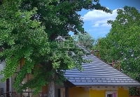 Felcsút Családi ház 3