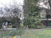 Perbál Einfamilienhaus 11