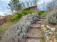 Alcsútdoboz 家庭别墅 25