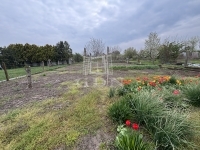 Ács Casa Familiala 13