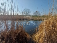 Sükösd 家庭别墅 14