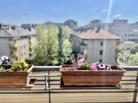 Budapest IX. kerület Lakás (téglaépítésű) 0