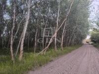 Kakucs Mezőgazdasági terület 2