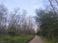 Kakucs Mezőgazdasági terület 3