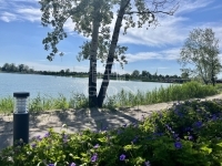 Dunaharaszti Telek 24