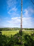 For sale building lot Őrbottyán, 3931m2