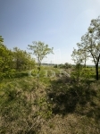 Vânzare zona agricola Dunakeszi, 10793m2