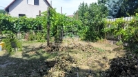 Szigetmonostor Family House 15