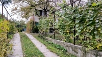 Szigetmonostor Family House 0