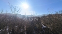 Dunabogdány Casa De vacanta 1