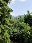 Dunabogdány 夏季别墅 1