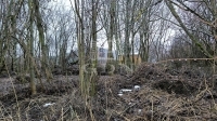 Dunabogdány 土地 0