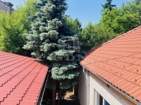 Budapest X. kerület 商业用 - 店铺 8