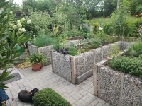 Siófok 家庭别墅 10