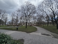 Budapest XV. kerület Квартира (панель) 12