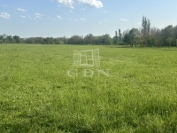 Balatongyörök Landwirtschaftliche Flächen 4