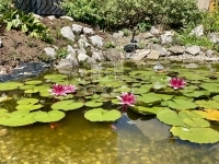 Szombathely Casa Familiala 22