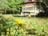 Zalaegerszeg Einfamilienhaus 2