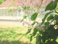 Zalaegerszeg Einfamilienhaus 3