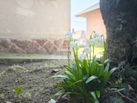 Csatár Family House 7