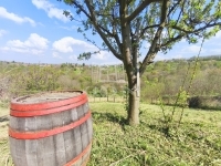 Zalaegerszeg Nyaraló 10