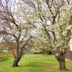 Sopron Einfamilienhaus 1