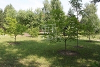 For sale building lot Gárdony, 4751m2