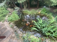 Budapest XXII. kerület Частный дом 19