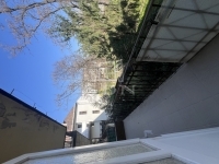 Budapest XIII. kerület Квартира (кирпичная) 1