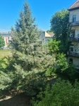 Budapest X. kerület Lakás (téglaépítésű) 11
