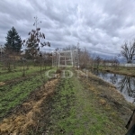 Nagyigmánd Agricultural area 2