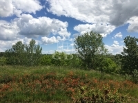 Budapest XVI. kerület Family House 13