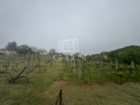 Mohács Családi ház 13