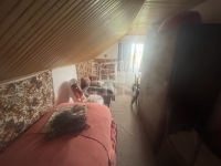 Mohács Családi ház 7