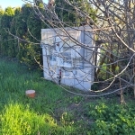 Balatonkenese Building lot 7