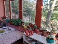 Zsámbék Частный дом 3