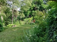 Budaörs Einfamilienhaus 15