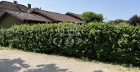Velence Einfamilienhaus 0