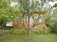 出卖 土地 Budakeszi, 610m2