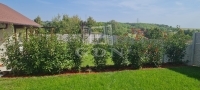 Tordas Family House 13