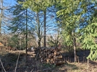 Budakeszi Building lot 1