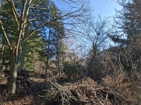 Budakeszi Building lot 3