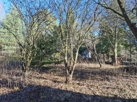 Budakeszi Building lot 0
