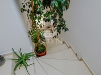 Dunakeszi Family House 19