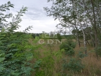For sale agricultural area Jakabszállás, 61546m2