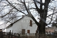 Kecskemét Tanya 0