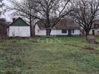 Kecskemét Hof 6