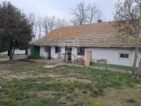 Kecskemét Farm 5