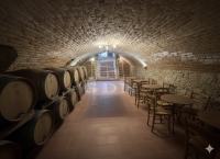 Kecskemét Einfamilienhaus 16