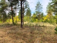 Kecskemét 家庭别墅 15